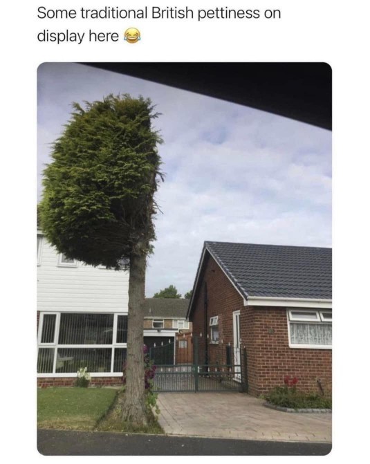 If a neighbours tree overhung your property would you cut it?