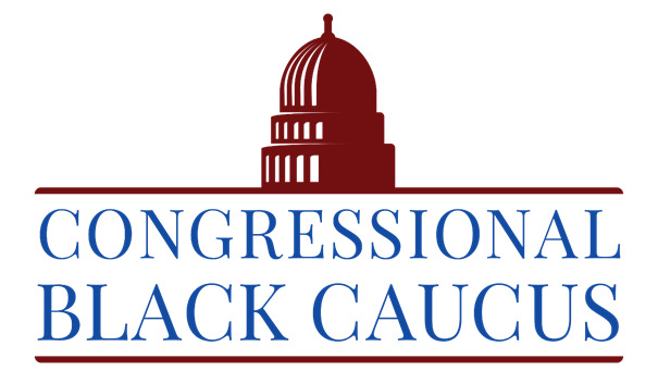 Since it is okay for to have black organizations, is it okay to have white organizations?