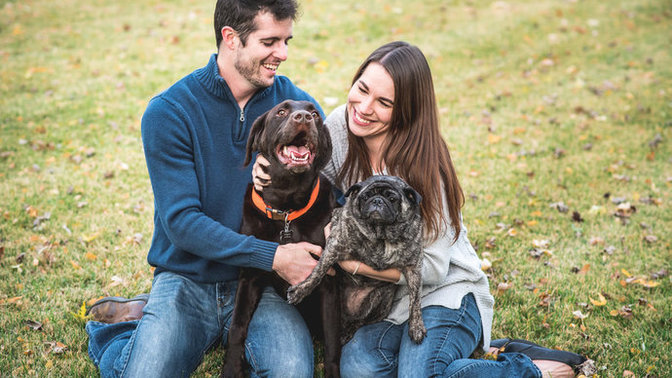 Would you date/marry someone who loves having pets?