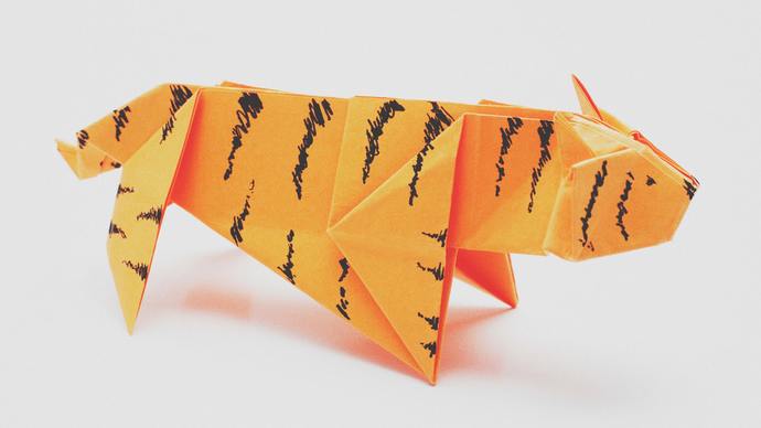Are you a Paper Tiger roarrr🐅 🐯?