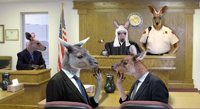 Tie me kangaroo down, sport.