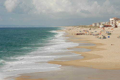 Which one do you like more, beach or swimming pool?