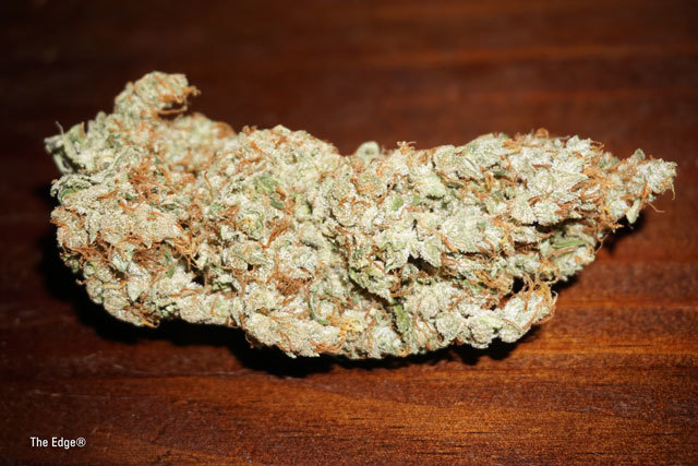Is it weed or not? What kind of weed?