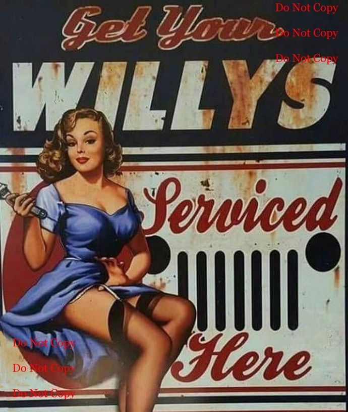 Do you take your car to an independent mechanic, or a Stealership to have your car repaired?