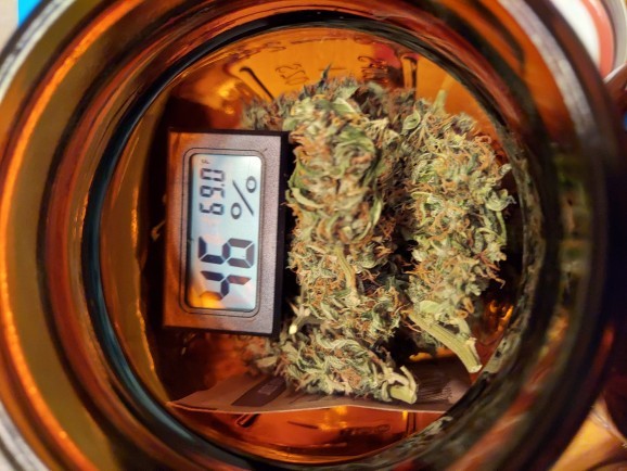 Is it weed or not? I smoked it but it had no effect?