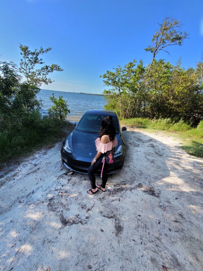 Could You See Yourself Driving Or Owning A Tesla?