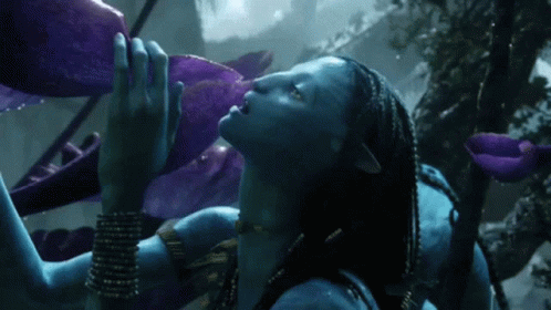 Have You Watched The Movie Avatar?