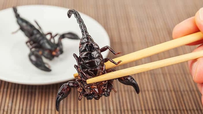 What's your opinion on alternative plates?