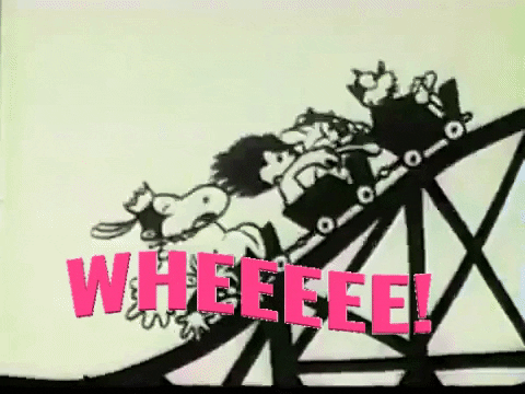 How often do you go to amusement parks?