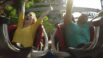 How often do you go to amusement parks?