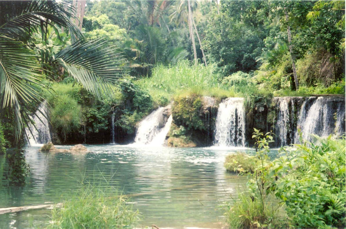 Wheres your favorite place to swim?