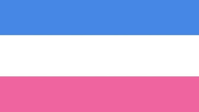 LGBTQ+ people, are hetero-cis people that are supportive of your community members of your community or outside supporters?