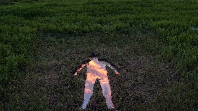 How does this image make you feel inside?