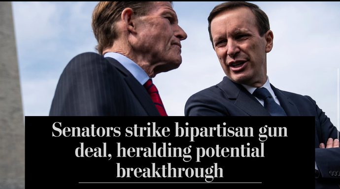 Wow.. Senators have bipartisan gun deal?
