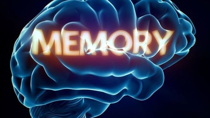 Should I be seriously concerned regarding my memory or is it common stuff?