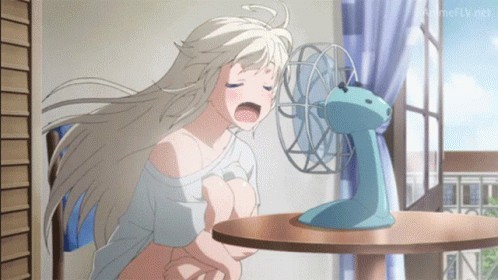 How do you beat the summer heat?