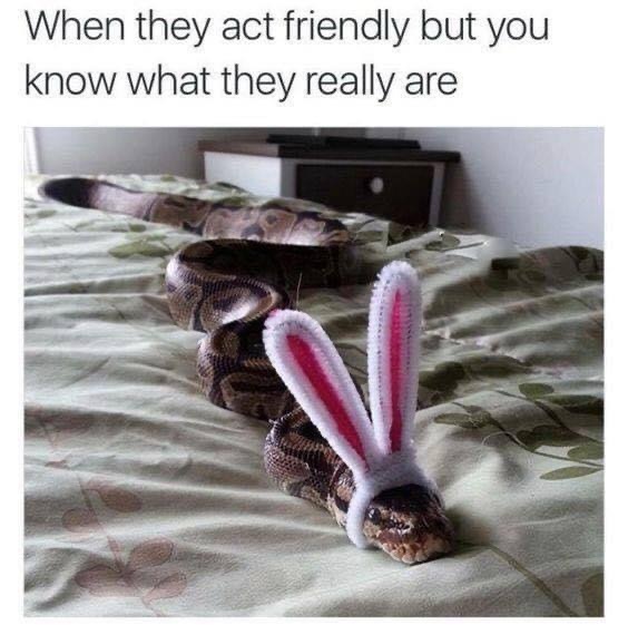 How do you deal with people who pretend to be nice to you but really can’t stand you?