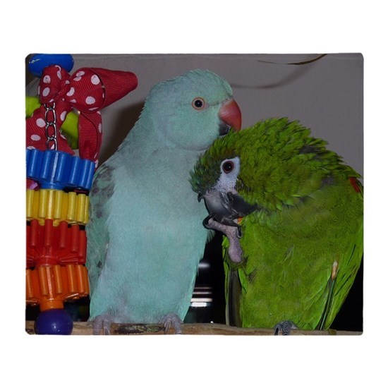 Do Indian ringneck parrots or Hahns macaws have cuter voices?