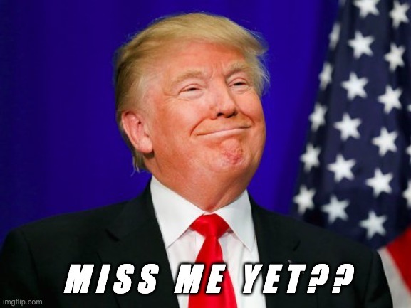 I miss Trumps Tweets and affordable Gas!!