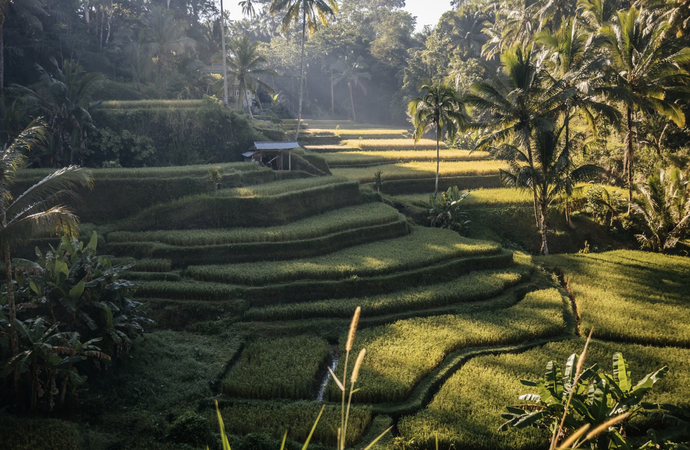 What do you think about Indonesia?