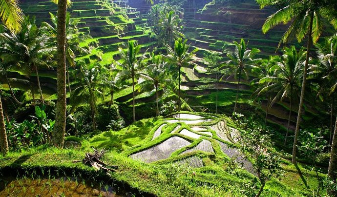 What do you think about Indonesia?