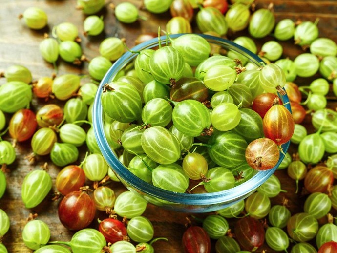 How often do you eat gooseberries?