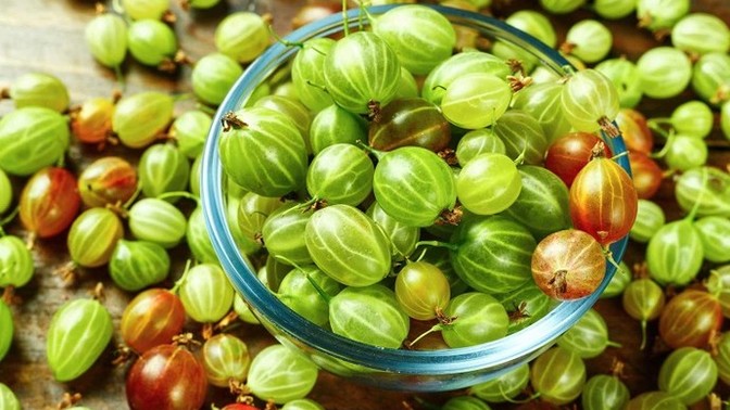 How often do you eat gooseberries?