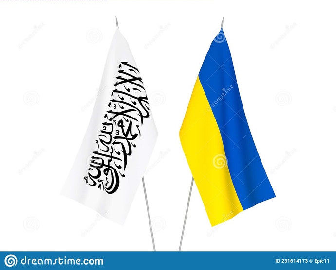 Do you think the media is forcing people to like the taliban and Ukraine now?