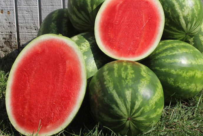 Is watermelon a top tier fruit?