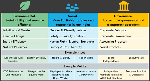 Do you know the main reason why big companies or corporations Get Woke and Go Broke?