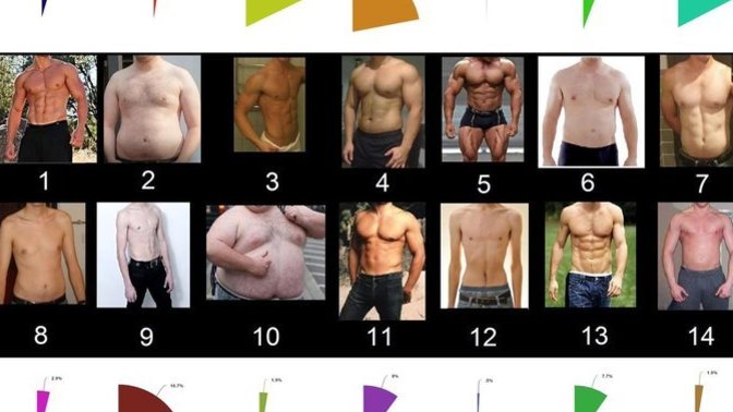 Straight Women: Which type of male body do you find the most attractive?