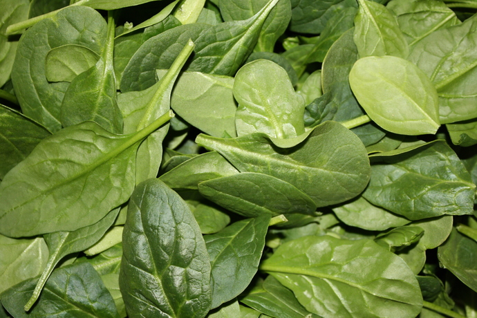 Do you like spinach?