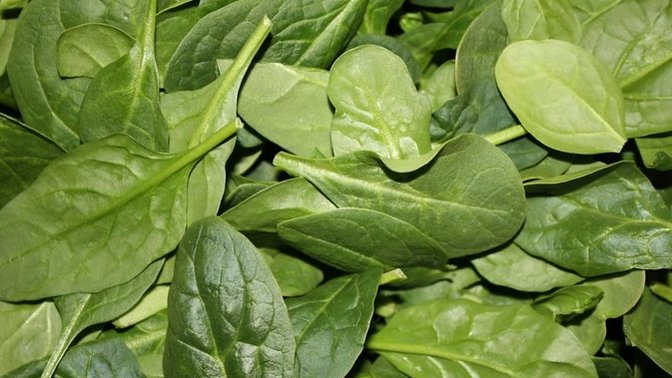 Do you like spinach?