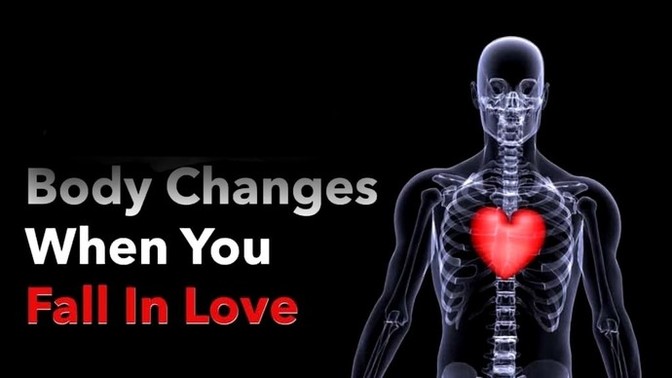 How does your body react when you fall in love?