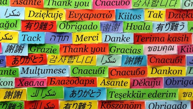 Which languages are you interested in learning?