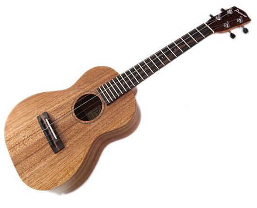 Do you own any musical instruments? If so which ones?