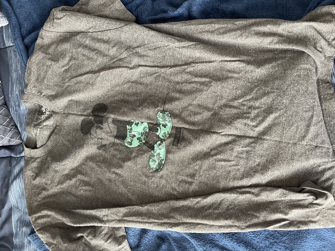 Which Disney shirt do you like the best?