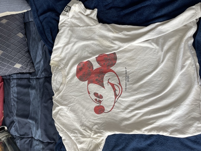 Which Disney shirt do you like the best?