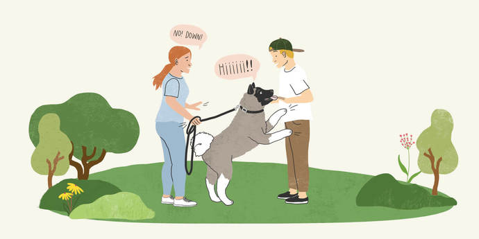 Has a dog ever jumped on you?