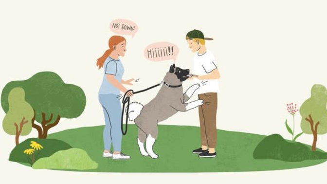 Has a dog ever jumped on you?