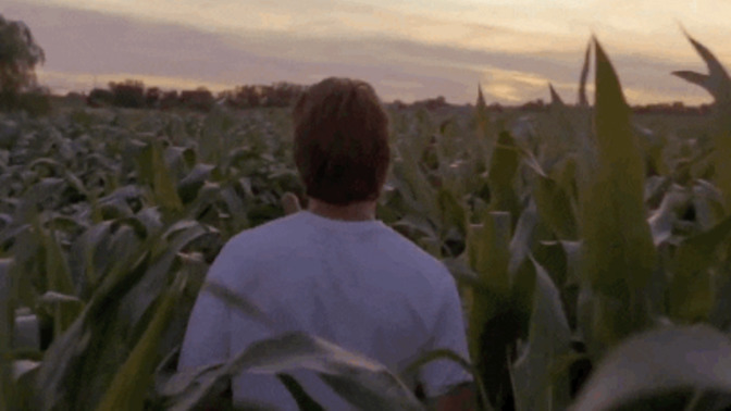 If you ____ it, _____ will come. Fill in the blanks?