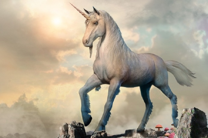 Do you think unicorns are real?
