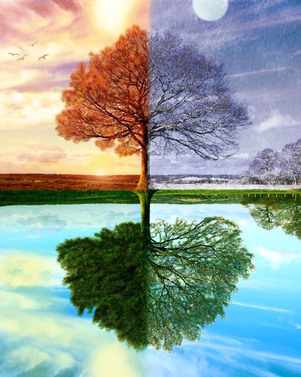 What season do you like the most?