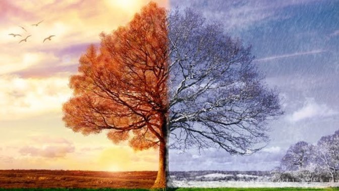 What season do you like the most?