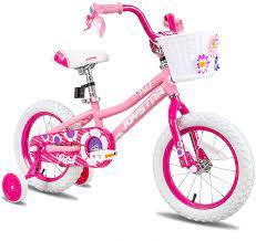 Which should Joe Biden use since he cant ride a real bike?