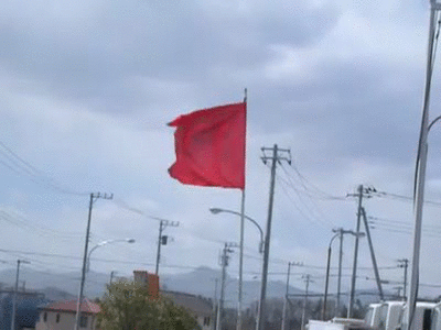 🚩Which red flags are you willing to accept in a partner?
