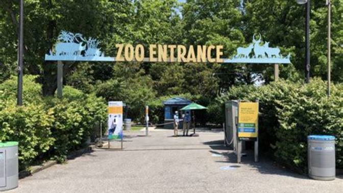 What's your favorite ANIMAL at the ZOO?