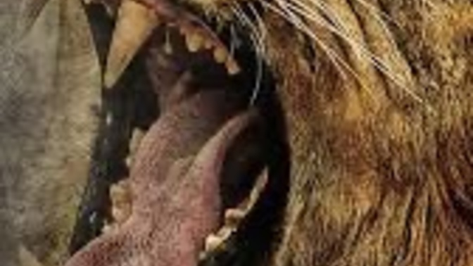 Do you think lions will go extinct in the next 100 years?