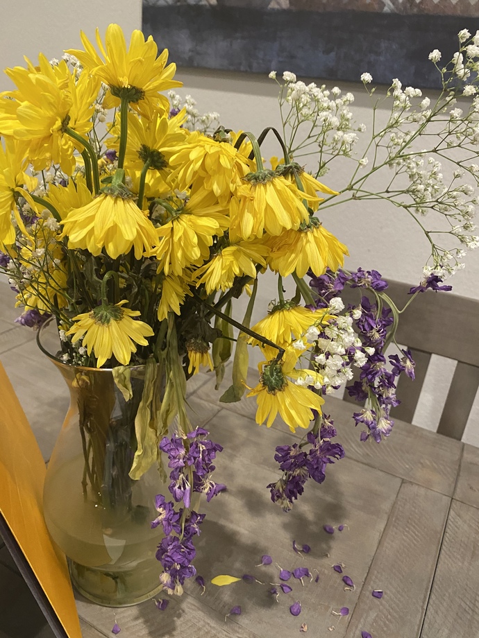 Does anybody know what these flowers are called?