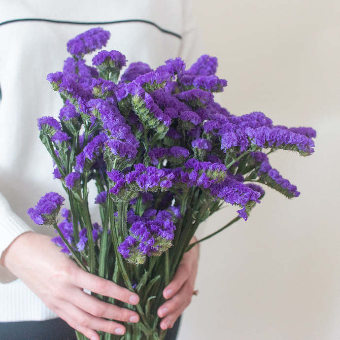 Does anybody know what these flowers are called?